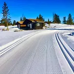 Cozy Electric Car Charger & In Out