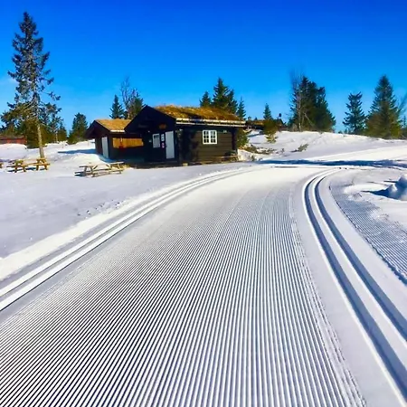 Cozy Electric Car Charger & In Out